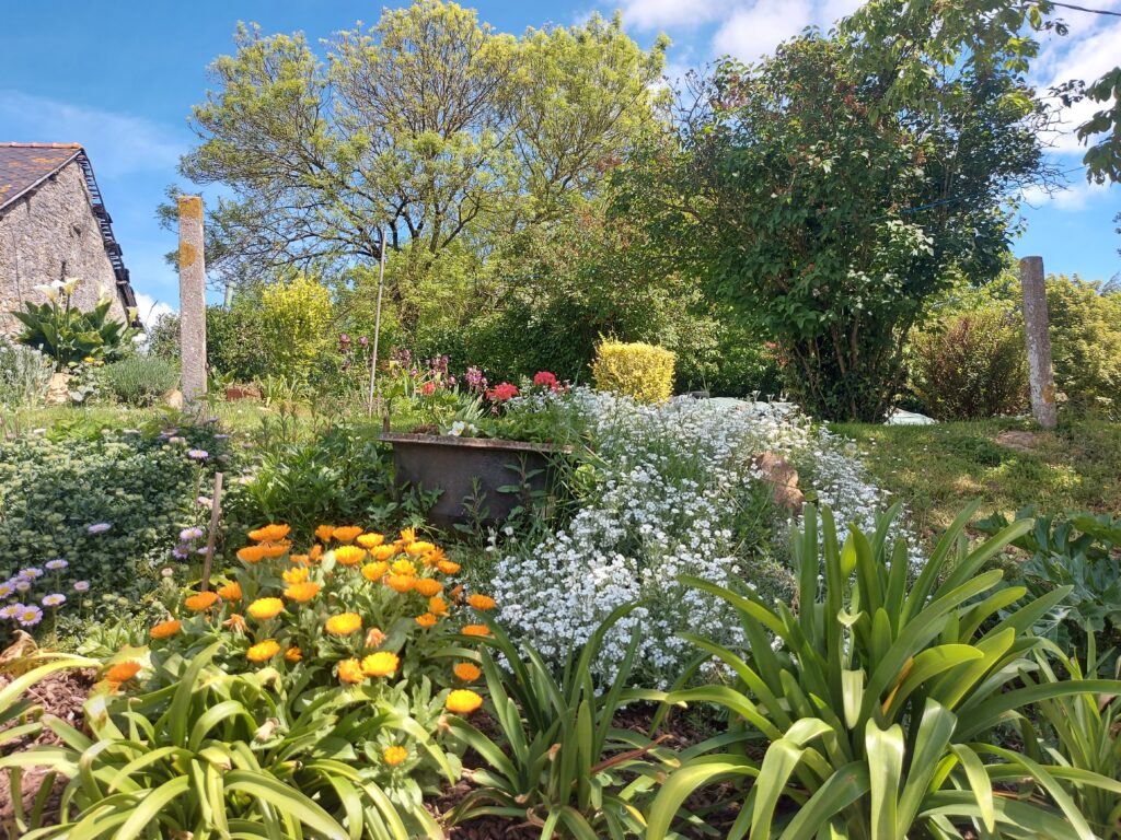 Le Domaine de la Houssais : Environnement bucolique, plantes
